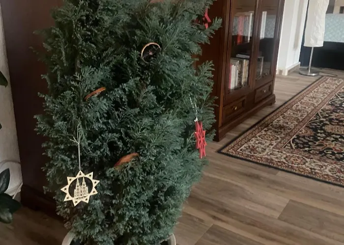 Apartment Charmantes Loft Im Zentrum